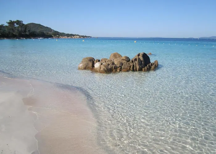 度假居 La Acacia 科蒂基亚瓦里